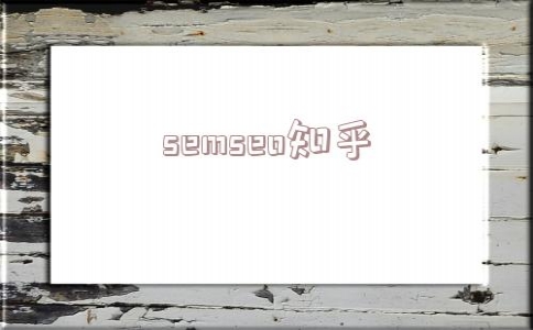 semseo知乎(semseo的区别)_seo网站优化价格