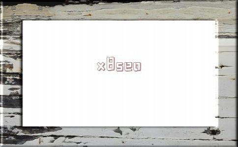 x8seo的简单介绍(x8se说明书)_黑帽seo_黑帽网站优化_黑帽快速排名