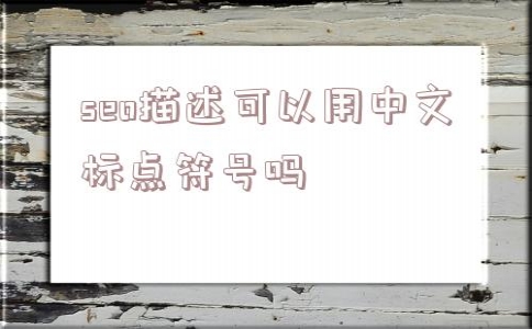 关于seo描述可以用中文标点符号吗的信息(网站用什么标点符号)_seo首页标题写