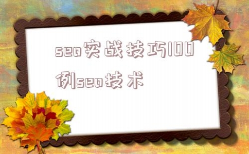 seo实战技巧100例seo技术的简单介绍(seo操作方法)_seo初级教程