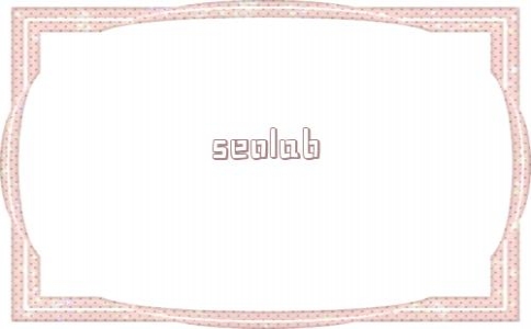 关于seolab的信息_seo 关键词 优化
