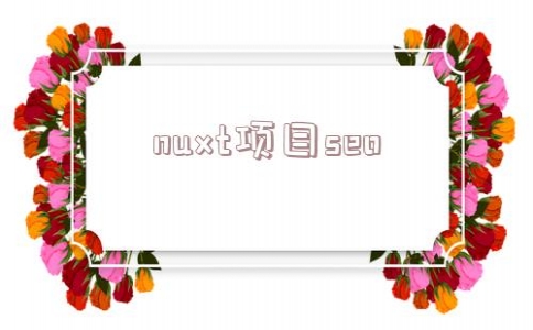 nuxt项目seo(nuxt项目部署)_好的seo网站